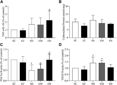 Effects of voluntary running on the skeletal muscle of rats with pulmonary artery hypertension